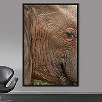 Framed Canvas Wall Art Elephants Animals Dramatic Elephants Farmhouse/Country Living Room Multicolor Photography - 16x24 inches