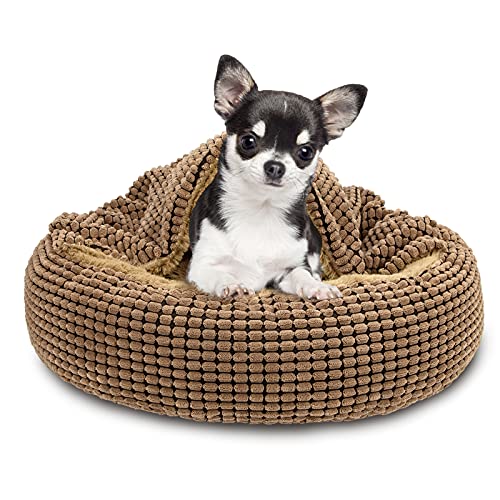Our Best Beds For Chihuahua [Top 10 Picks] BNB