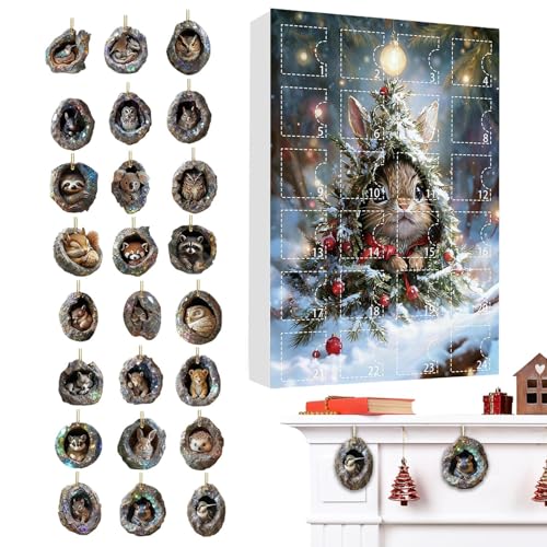 TQEBWUS Ahxg  J_[,2D AN 24 NX}X `[ J_[ c[z[  |  obNpbN `[, q j̎q ̎q  |[` oRj[ NX}X c[ p[eB[ 