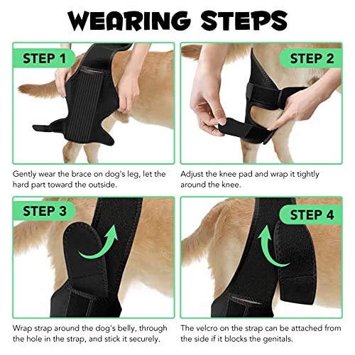 Image of Dog Knee Brace for Support Cruciate Ligament Injury, Joint Pain And Muscle Sore, Dog Leg Brace for ACL Support, Reduces Pain and Inflammation, Adjustable Pet Brace with 10 Side Stabilizers (L)
