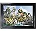 Dinosaurs Framed Wall Art-Lenticular Technology Causes The Artwork to Flip-Multiple Pictures in ONE-Hologram Type Images Change-Mesmerizing Holographic Optical Illusions by Those Flipping Pictures