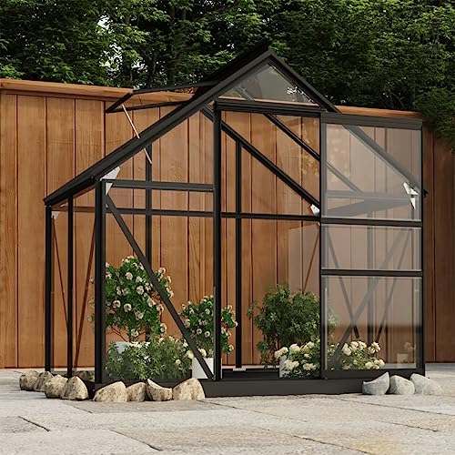 vidaXL Glas Gewächshaus Tomaten Treibhaus Glashaus Tomatenhaus Gartenhaus Pflanzenhaus Frühbeet Garten Anthrazit 155x103x191cm Aluminium – Bild 3