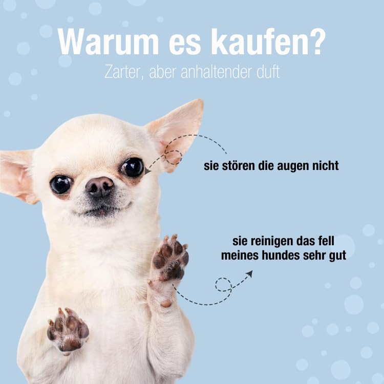 Animal House Dufttücher 35 Stück: Hypoallergene und biologisch abbaubare Feuchttücher für die tägliche Reinigung von Hunden und Katzen (35, Aloe und Chlorhexidin)