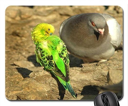 �������N�[���ȃr�[�g�}�E�X�p�b�h�A���̗F�B�ɂȂ肽��Mous Ped�A�}�E�X�p�b�h