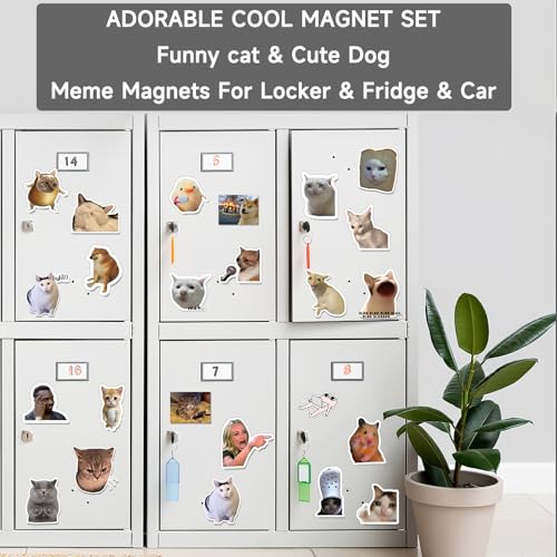24 Imánes de Refrigerador Meme Estilo Divertido Animales miniatura 5