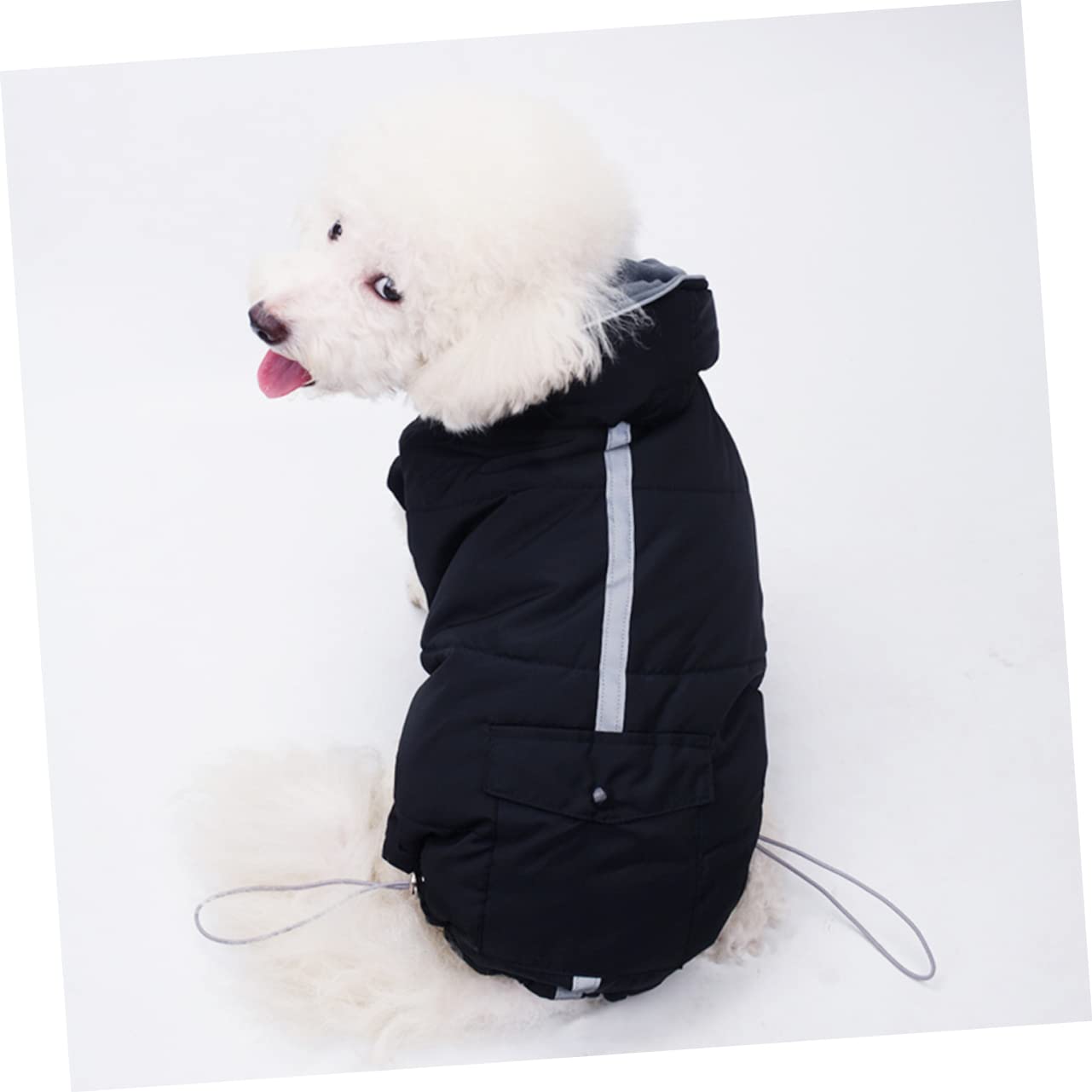 Toddmomy 2pièces Gilet Coton Lumineux pour Chien Hiver Noire pour Maintien Chaud Activités Extérieur