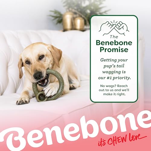 Image of Benebone Peppermint Ring - Limited Edition Holiday Flavor, Durable Chew Toy for Aggressive Chewers, Made in USA, Large