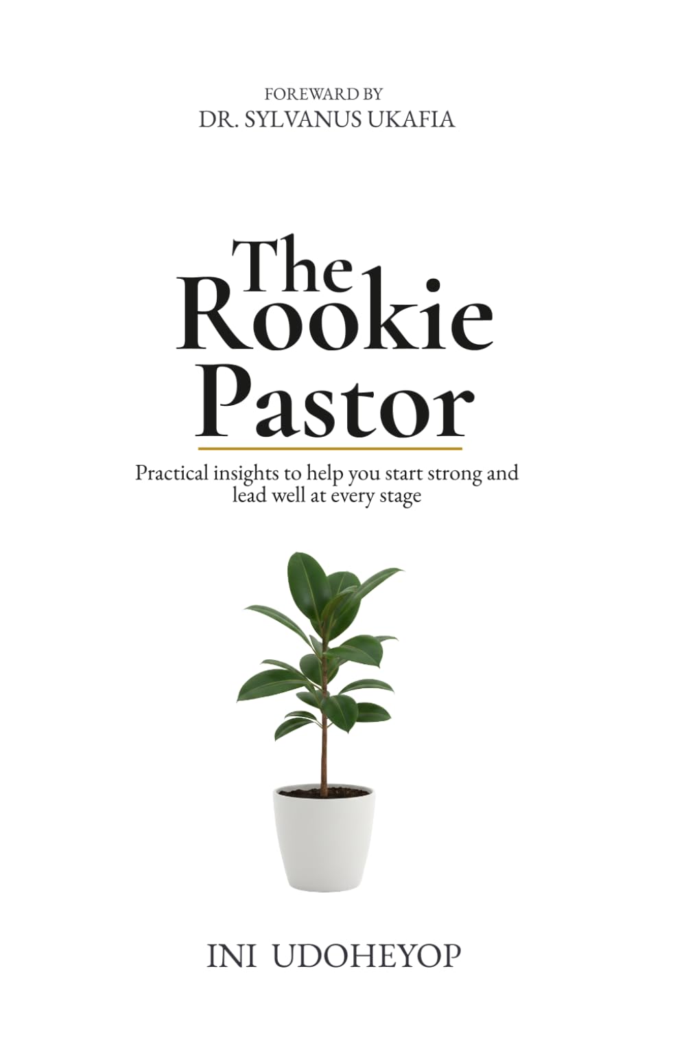 The Rookie Pastor: Practical insights to help you start strong and lead well at every stage