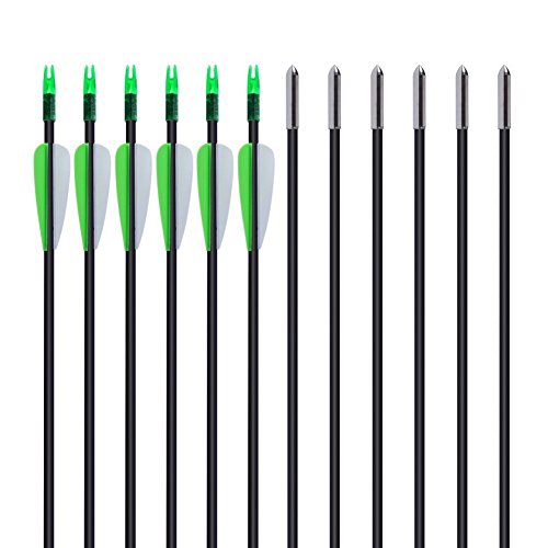 ANTSIR 30 Fiberglass Archery Target Arrows- Practice Arrows for Kids Youth or Begineers on Recurve Bow Long Bow Traditional Bow (Green Vanes Pack of 12)