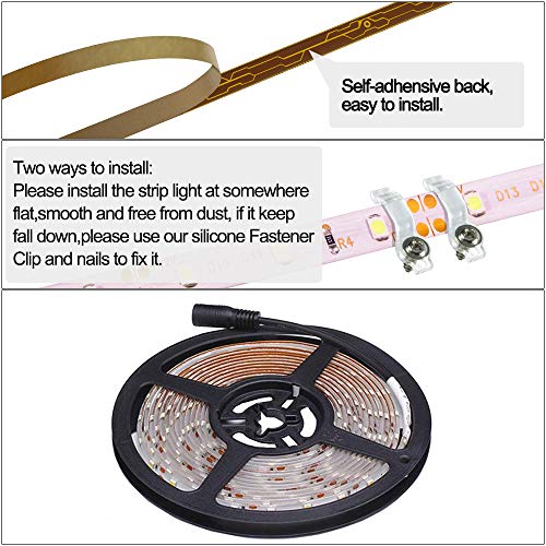 Xinkaite Waterproof Led Strip Lights Smd 3528 16.4 Ft (5M) 300Leds 60Leds/M White Flexible Tape Lighting Tape Lights For Boats, Bathroom,Mirror,Ceiling And Outdoor (Blue) #TOP5