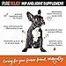 FUR FLOURISH PureRelief Premium Dog Hip and Joint Supplement, Value Pack 155 Soft Chew Treats, Natural Glucosamine Chondroitin MSM Hemp Oil and Turmeric