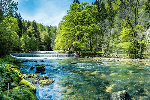 Muralo Fabelhafte Vlies Fototapete 300x210 Wald Bäume Wasserfall Natur Moderne Tapete Wohnzimmer Schlafzimmer Wandbilder Wandtapete XXL Luxus Abstrakt Br.300xHö.210 Cover