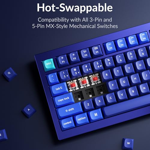 Image of Keychron Q1 RGB Wired Custom Mechanical Keyboard Knob Version, 75% Layout QMK /VIA Programmable with Hot-swappable Gateron G Pro Brown Switch Double Gasket Compatible with Mac Windows Linux (Blue)