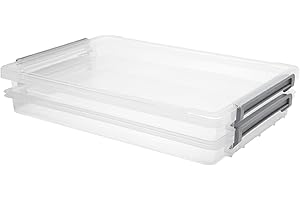 Citylife 2 PCS Clear Plastic Storage Bins with Lids