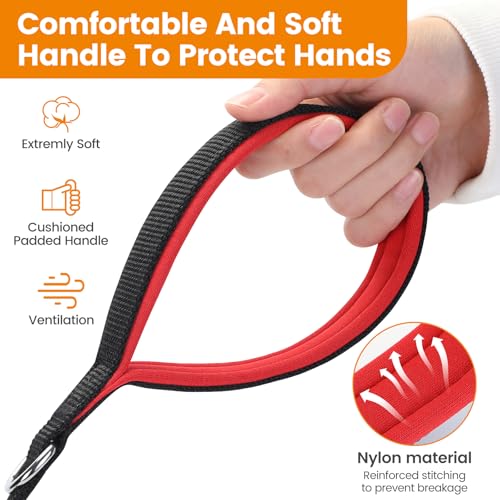 HAPPY HACHI Schleppleine für Hunde, 3m /5m /10m /15m /20m /25m /30m /33m Nylon Hundeleine mit Handschlaufe, Trainingsleine mit D-Karabiner,Lange Hundeleine,für Gehorsamkeitstraining (Schwarz, 10m)