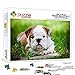 Mini Puzzles 1000 Pièces pour Adultes Bouledogue allongé sur l'herbe Puzzles pour Adultes, Famille Défi Jeux Divertissement Jouets Cadeaux 38 * 26cm