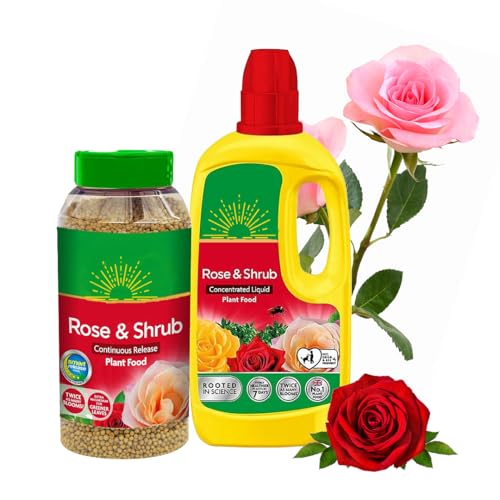 Miracle Grow Rose Feed Fertiliser - Bundle of Rose & Shrub 900g Continuous Release Plant Feed Granules & 800ml Concentrated Liquid Plant Food. Garden Plants Fertilizer for Roses with Topline Card