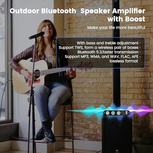ZK-1001U Bluetooth 5.3 Mono-Verstärker HiFi-Stereo mit TWS & Boost-Schaltung, 100 W Ausgangsleistung, Mini-Audioverstärker für Heim- und Outdoor-DIY-Lautsprecher, USB/AUX/BT-Eingang, DC 9-24 V