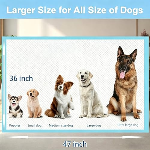 Image of XXXXL Puppy Pee Pads for Dogs 36 inchx47 inch 50 Count, Extra Large Dog Pee Pads, Leak-Proof & Super Absorbent Dog Pee Pads, Thicken Disposable Potty Pads Puppy Training Pads for Cats Rabbits