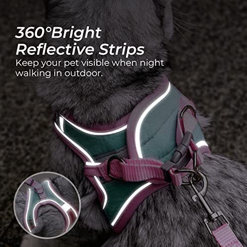 Cat Harness and Leash Set for Walking, Escape Proof, Adjustable Soft Cats and Small Dogs Vest Harness with Reflective… - Image 7