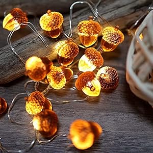 Thanksgiving Decorations Fall Lights Acorn String Lights Forest Décor Fairy Decorative Lights 30 LEDs 10ft USB Powered with Remote for Bedroom Farmhouse Home Holiday Thanksgiving Decoration Thanksgiving Decorations Fall Lights Acorn String Lights Forest Decor Fairy Decorative Lights 30 LEDs 10ft USB Powered with Remote for Bedroom Farmhouse Home Holiday Thanksgiving Decoration