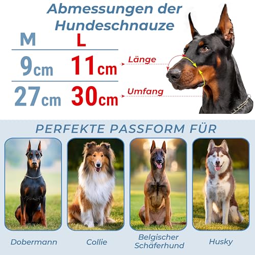 CleverTail Metall-Maulkorb für Dobermänner – Körbchen-Maulkorb gegen Bellen und Beißen – Stahl-Draht-Maulkorb für mittelgroße und große Hunde wie Dobermann, Collie, Malinois, Husky