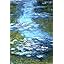 Claude Monet Water Lilies Flower Pond | 6554
