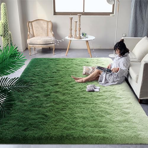 DweIke Luxury Fluffy Kids Rugs for Living Room Bedroom, 4x6