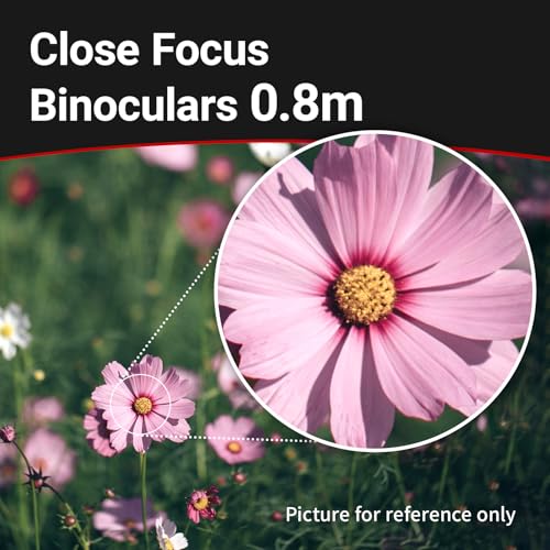 Binoculares ZWO Seestar 8x24 Compactos y Livianos miniatura 5