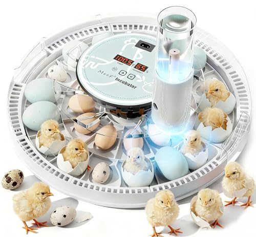 MeeF incubators for Hatching 28 Eggs,Independent atomizing humidifier, Auto Flip,