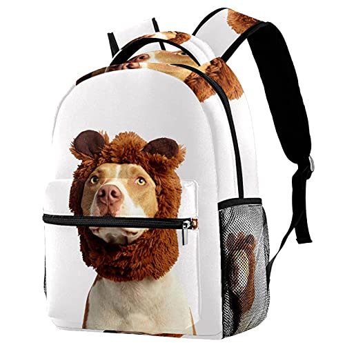 Sac à dos de voyage avec porte-bouteille externe pour ranger et protéger les affaires : lot de 5