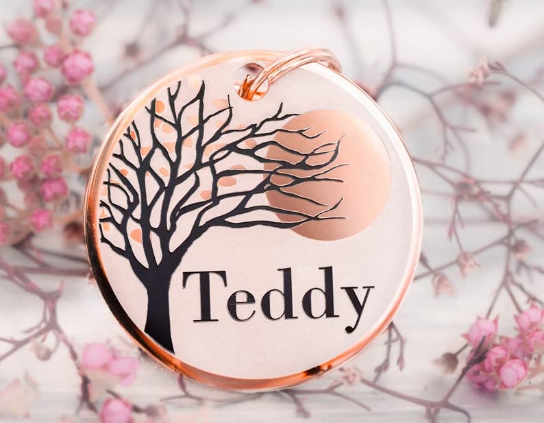 PETSAVIOUR Custom Dog tag, Personalized pet ID tag, Cat Collar tag, Engraved Dog Name tag, Cute cat Name tag, Dog ID tag, Pet tag for Puppy Kitten (25 MM, Rose Gold) (B0BR5T3GB4) Amazon Price History, Amazon Price Tracker