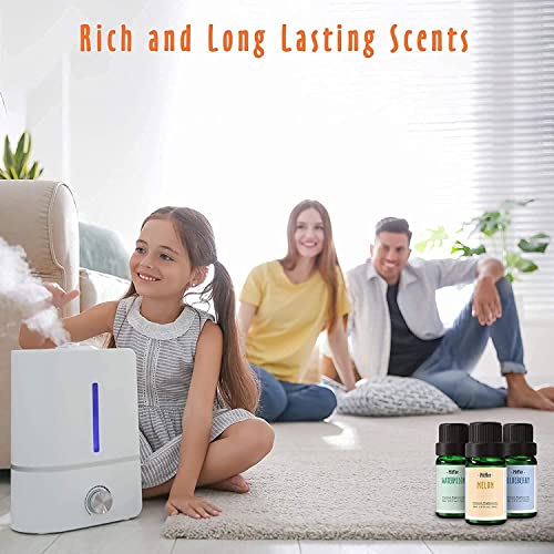 Autumn Fragrance Oils, Mitflor 12 Bottles Premium Scented Oils For Diffuser, Fruits, Soap, Candle Making, Watermelon, Blueberry, Vanilla Pumpkin, Aromatherapy Oils Gift Sets #TOP5