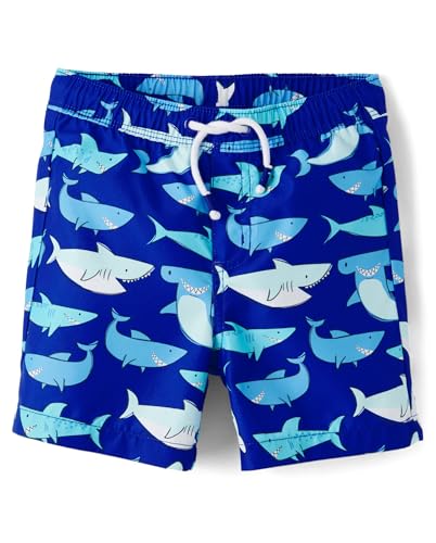 Image of Gymboree Boys and Toddler Swim Trunks