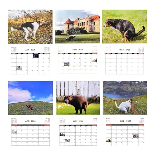 Kackende Hunde Kalender 2026, Dogs Pooping in Beautiful Places Calendar 2026, Hunde beim Kacken Kalender, Pooping Dogs Calender 2026, Lustiger Wandkalender für Hundefreunde