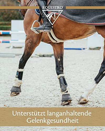 Equistro Flexadin Advanced | 1,2 kg | Ergänzungsfuttermittel für Pferde | Zur Unterstützung der normalen Gelenkfunktion | Enthält Nicht- denaturiertes Typ-II Kollagen | Pellets