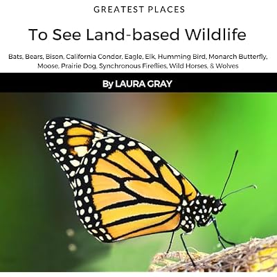 Best Places to See Land-Based Wildlife in the United States