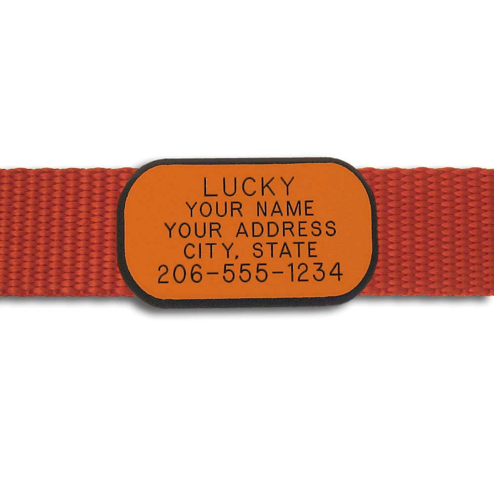 LuckyPet Pet ID Tag: Collar Tag - Attaches Flat to Any Collar - Perfect for Dogs or Cats - Custom Engraved - Durable and Silent!