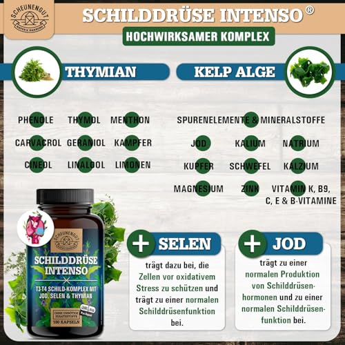 SCHILDDRÜSE INTENSO® Selen Jod Tabletten - WICHTIG: Laborgeprüfter -Umwandler Schilddrüse- Komplex mit Selen, Jod (155µg pro Kapsel) und Thymian -Hochdosiert- Vegan DE SCHEUNENGUT®