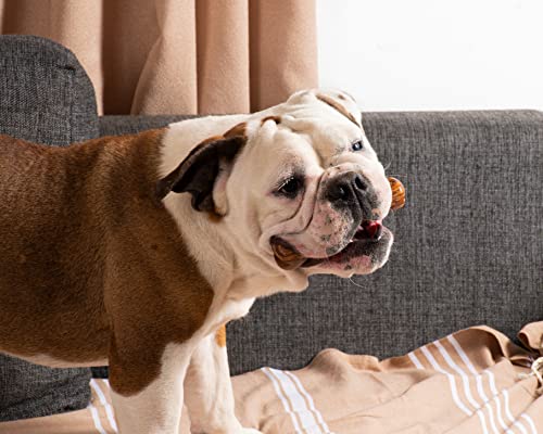 Darido Olibone - Jouet à mâcher en Bois d'olivier - Os irrésistible pour Tous Les Chiens S 15x3cm - Jouets pour Chiots résistants - Jouets pour Chiens indestructibles - Jouets de Dentition - Image 7