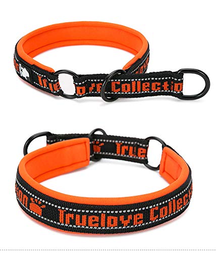 Rantow Colliers Anti-Traction Nylon Collier étrangleur pour Chien - Bande réfléchissante Colliers de Dressage pour Animaux de Compagnie pour Petits Chiens de Taille Moyenne (XL, Orange) Cover