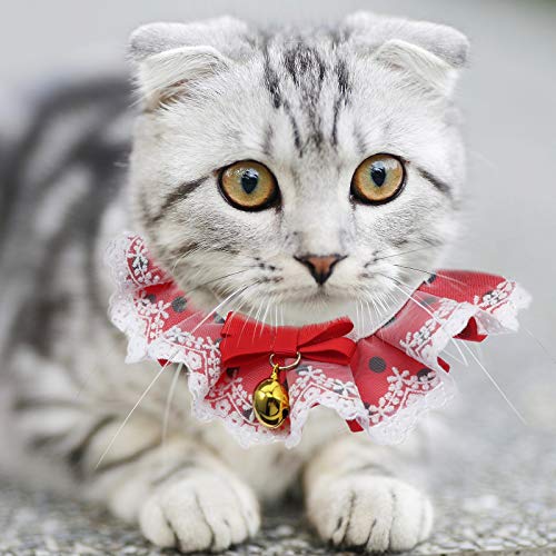 Coleira para gatos de estimação em renda com bolinhas bowknot (vermelho tamanho XL)