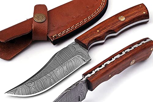 Viking Hunter 9 Inch Fixed Blade Knives Predator Damscus Steel Hunting Knife Wood Handle Skinning Knife For Outdoor Camping Bushcraft Skinner knife With Sheath (VK-HK-12)