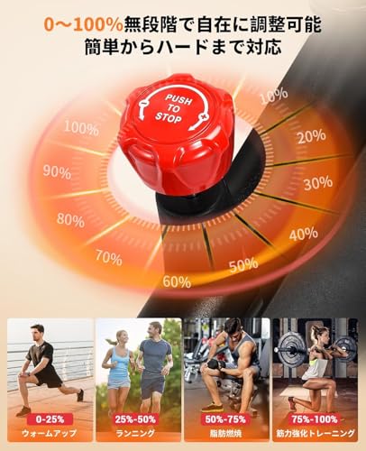 DMASUN エアロバイク 8702 の商品画像 3