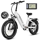 Wooken Electric Bike for Adults, Peak 1000W Motor Ebike, 20