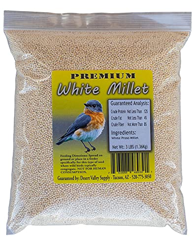 Desert Valley White Millet Proso