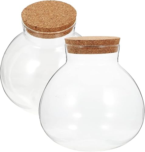 Tarro redondo de vidrio para terrario, contenedor de terrario para plantas suculentas, brotes de terrario, jarrones, mensaje, botella de deseos con disponible en Yaxa Costa Rica