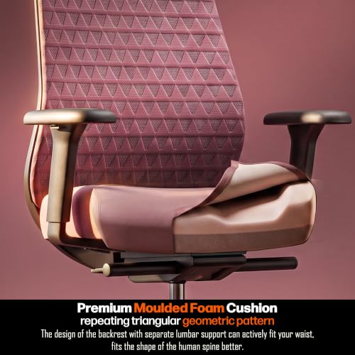 Image of Drogo Moka Ergonomic Office Chair for Work from Home | Premium Mesh Computer Chair with Adjustable 3D Armrest, Headrest & Lumbar Support | High Backrest & Sliding Cushion Seat | 1 Yr Warranty(WineRed)