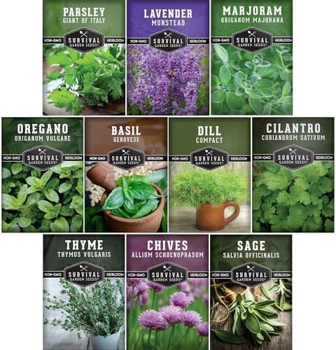Herb Seeds Variety Pack | 10 Culinary Herbs for Planting – Basil,...