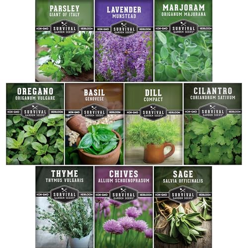 10 Culinary Herb Seed Packs for Planting Survival Garden Seeds